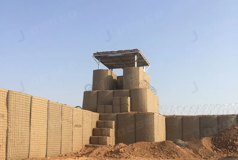Modern Defense Infrastructure: Border Walls, HESCO Barriers, and Bastion Camps 1 Border Walls, HESCO Barriers, and Bastion Camps