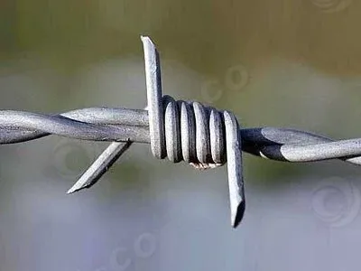 Double Twist Barbed Wire